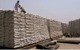 هند صادرات گندم را ممنوع اعلام کرد