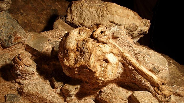 اجداد انسان اولیه بیش از یک میلیون سال قدمت دارند