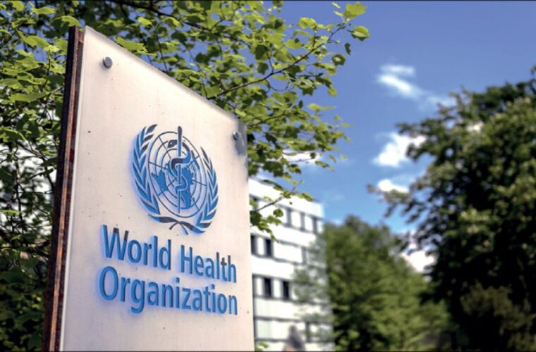 سازمان بهداشت جهانی شیوع آبله میمون را وضعیت اضطراری جهانی اعلام کرد
