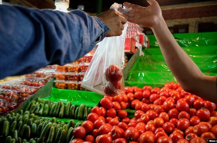 اعتراض کشاورزان پاکستانی باعث توقف صادرات گوجه‌فرنگی ایران
