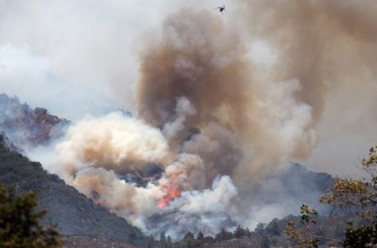 آتش‌سوزی‌ جنگل‌های الجزایر دهها کشته و مجروح برجای گذاشت