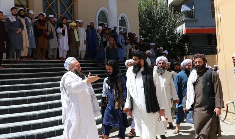 افزایش «پنج برابری» مدارس دینی رسمی طالبان نسبت به دو دهه گذشته