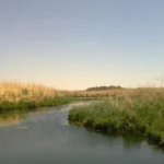 کشف آثار حیات 12 هزار ساله در منطقه حوض الأزرق اردن