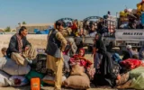 سازمان جهانی مهاجرت: بازگشت اجباری میلیون‌ها مهاجر افغان از ایران و پاکستان به افغانستان