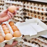 واردات گوشت طیور و تخم‌مرغ ایران به کویت از سر گرفته شد: گشایش اقتصادی جدید