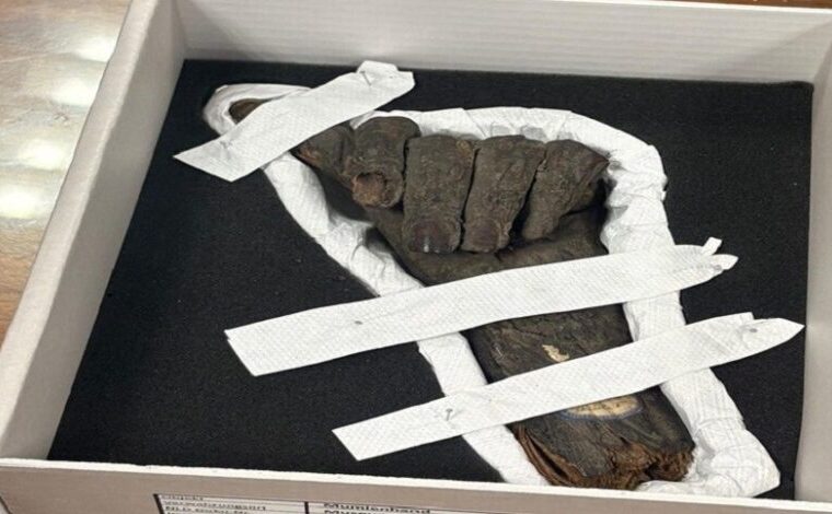 بازگشت افتخار: مصر آثار باستانی غارت‌شده خود را از بریتانیا و آلمان پس گرفت