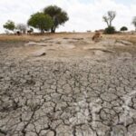 خشکسالی بی‌سابقه در رژیم صهیونیستی؛ هزاران هکتار زمین کشاورزی نابود شد