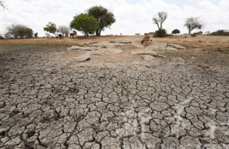 خشکسالی بی‌سابقه در رژیم صهیونیستی؛ هزاران هکتار زمین کشاورزی نابود شد
