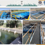 صرفه‌جویی آب شرب با پساب تصفیه‌خانه حسن‌آباد؛ شاهکار مدیریت آب در اوج تنش آبی