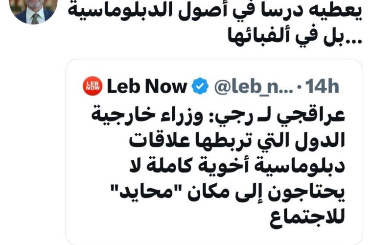 عراقچی، الفبای دیپلماسی را به همتای لبنانی خود گوشزد کرد؛ تذکر وزیر سابق لبنان به رجی