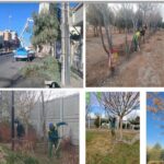 عملیات زمستانه سبزپوشان بی‌ادعای مدیریت شهری برای بهسازی فضای سبز حسن‌آباد